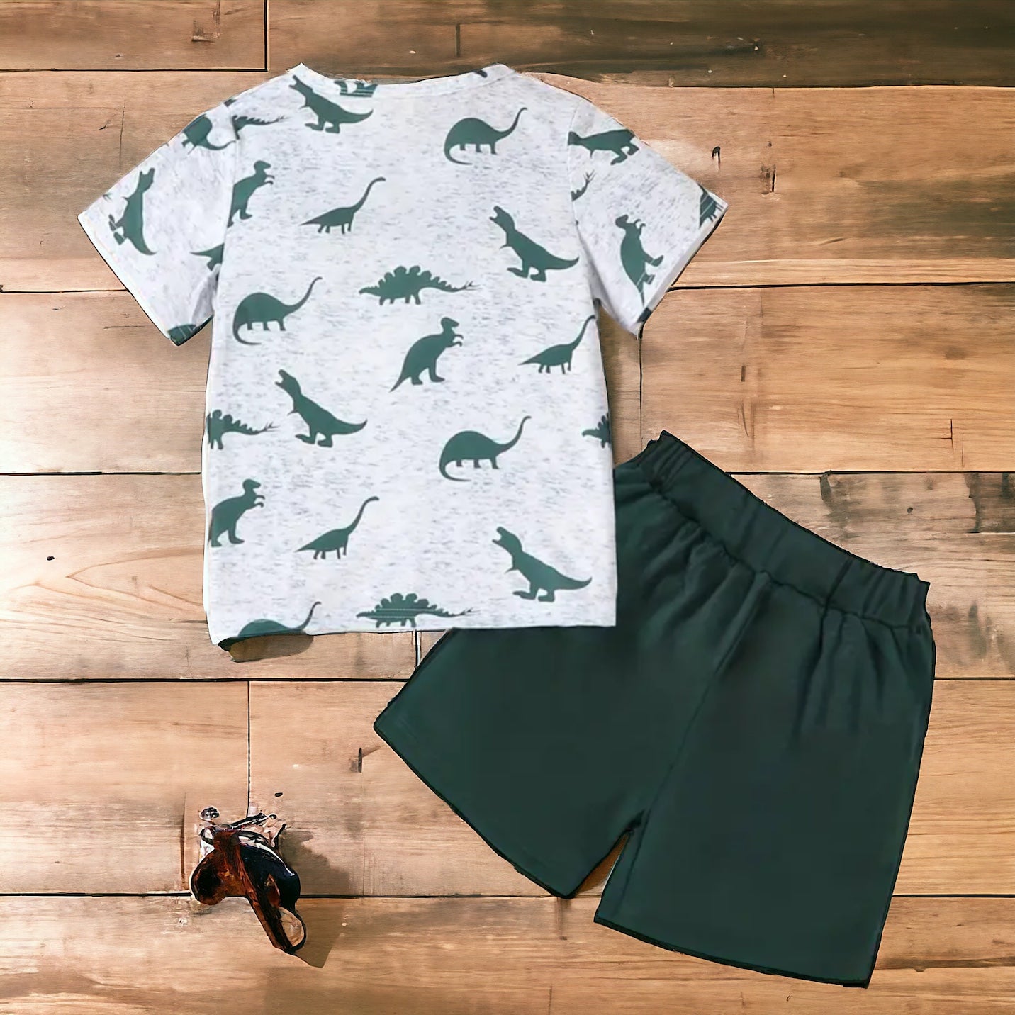 Boy’s Dinosaur Tee and Shorts Set