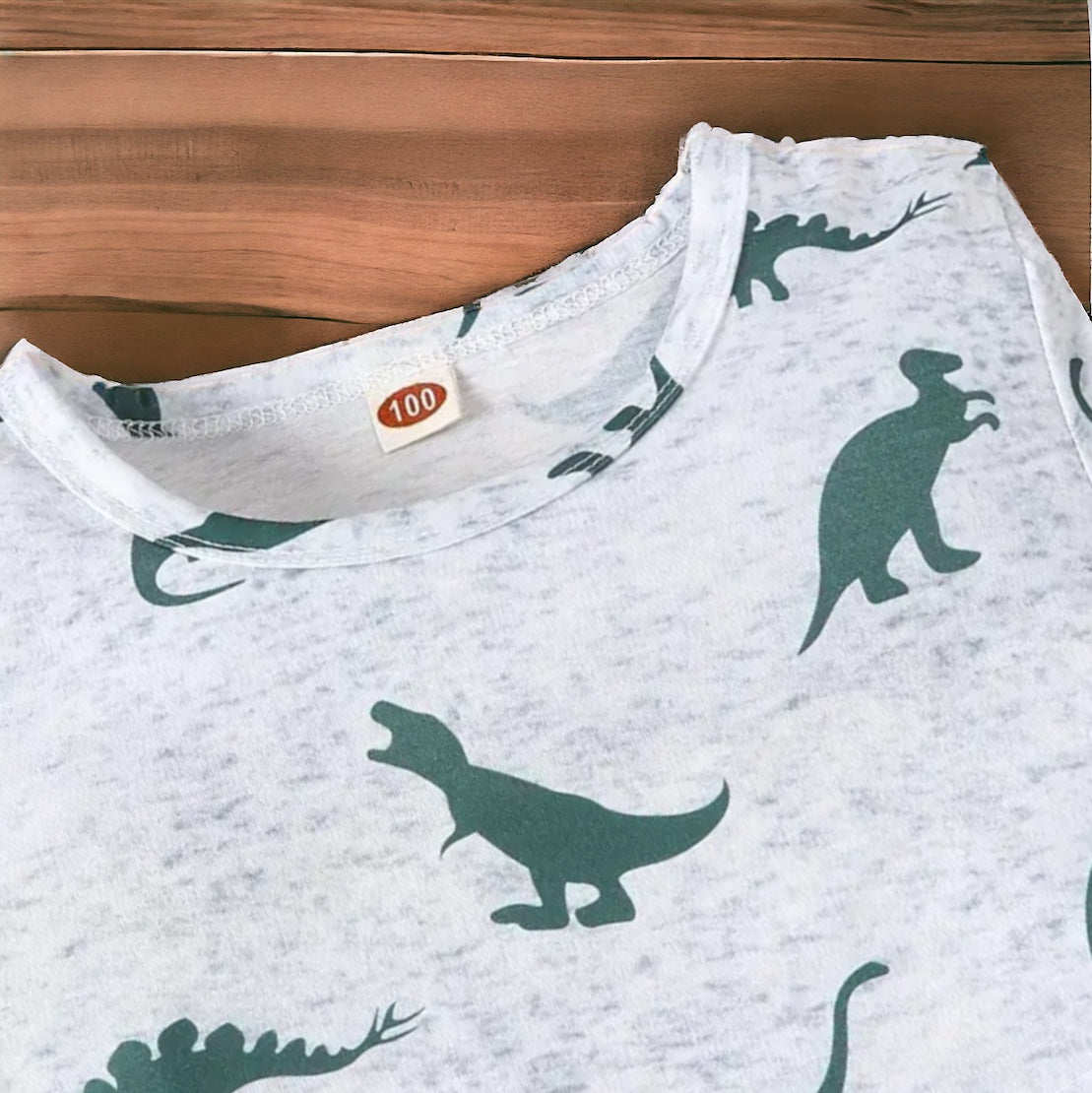 Boy’s Dinosaur Tee and Shorts Set