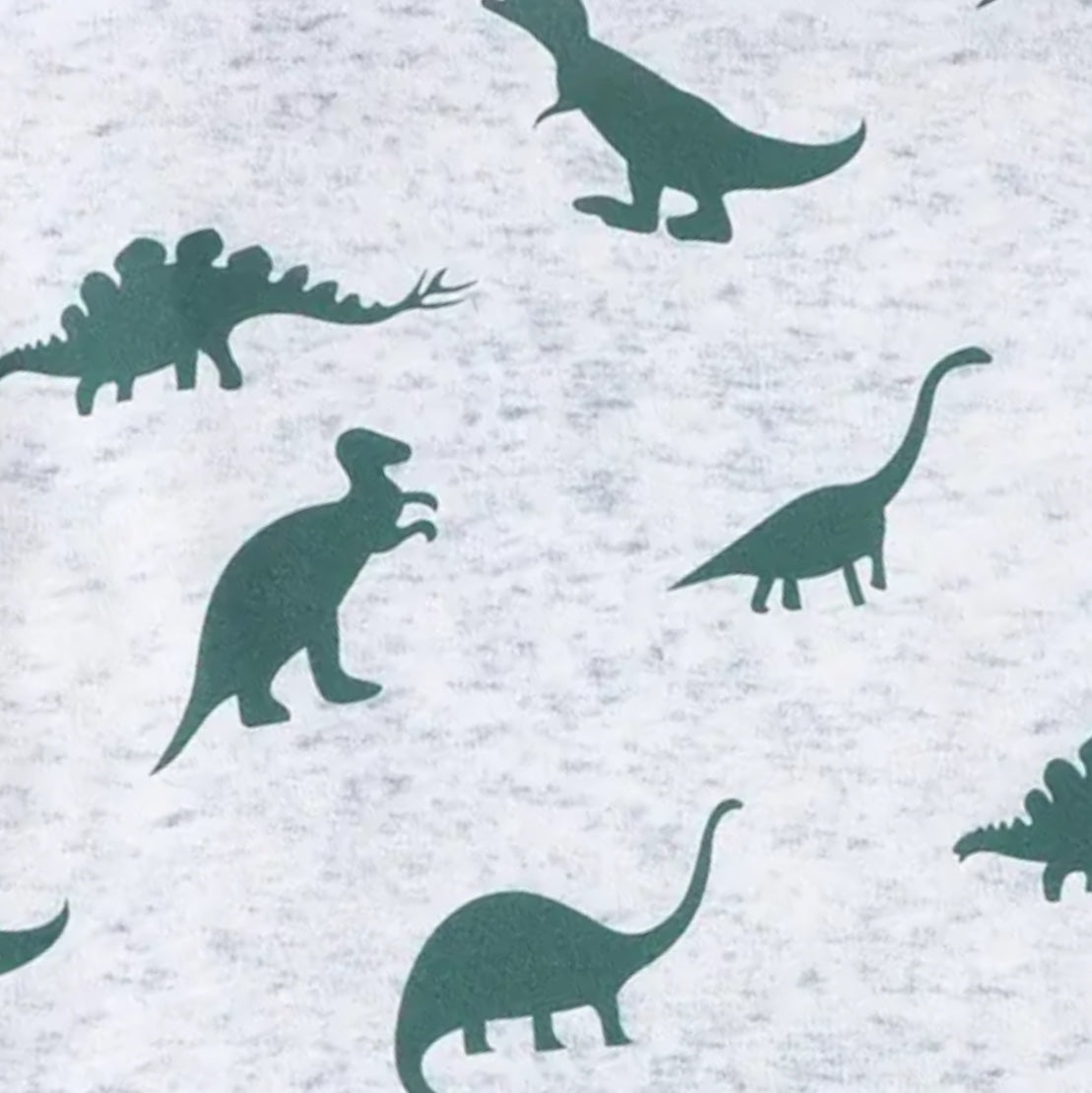 Boy’s Dinosaur Tee and Shorts Set